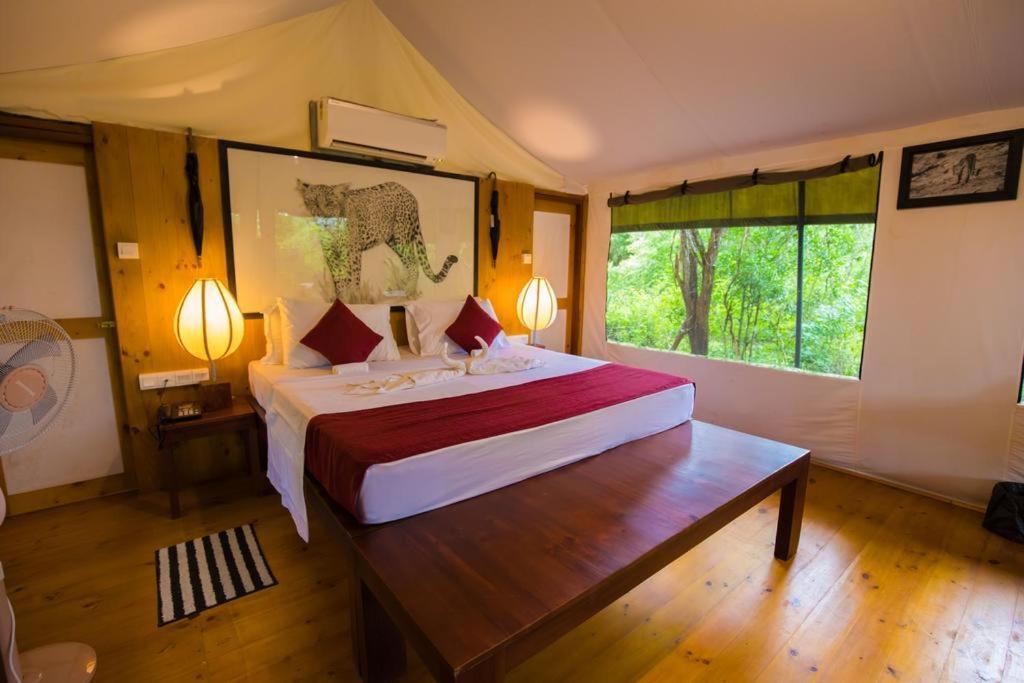 Hotel Yala Leopard Mobile Camp Zewnętrze zdjęcie