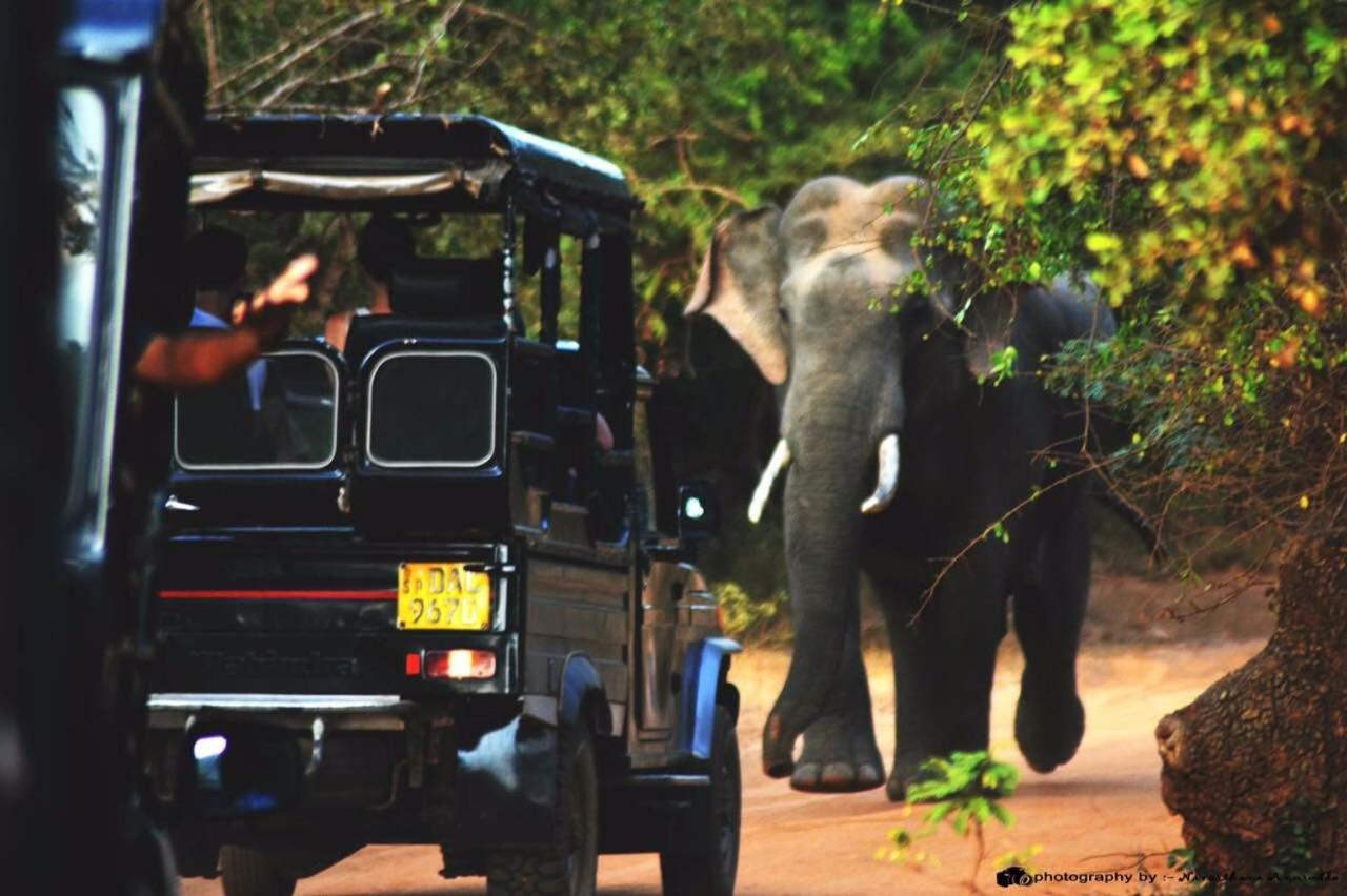 Hotel Yala Leopard Mobile Camp Zewnętrze zdjęcie
